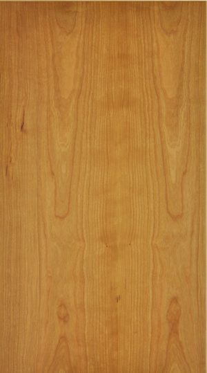 Bailey brown wood kitchen door